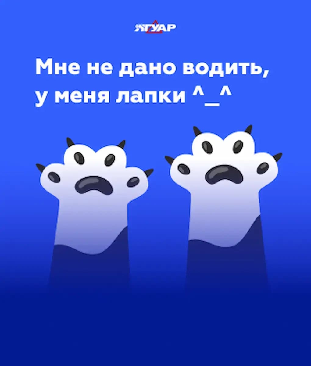 «Я и автомобиль — несовместимые вещи». Есть ли такие люди, которым не дано водить?