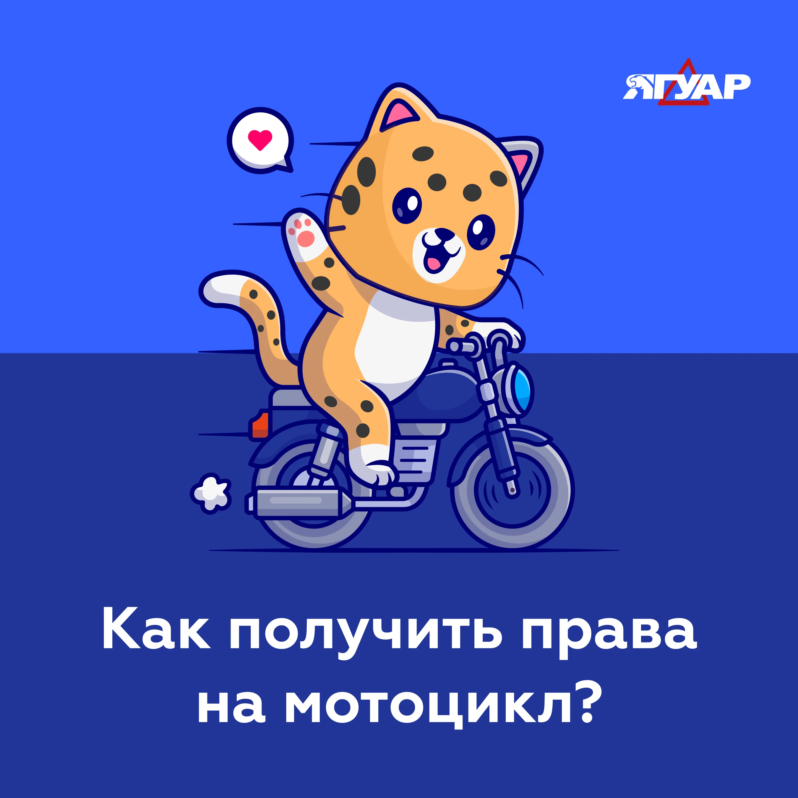 Есть ли такие люди, которым не дано водить?